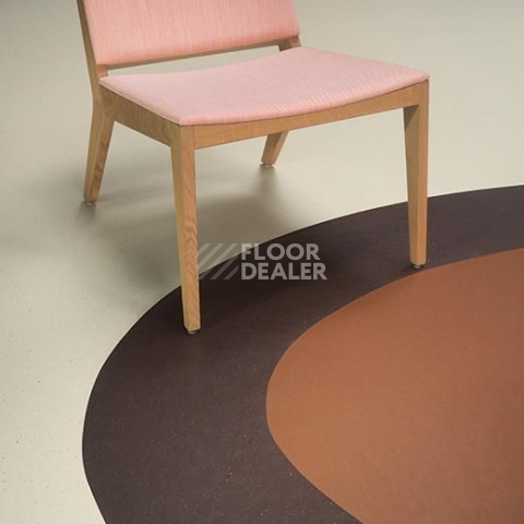 Forbo Marmoleum Decibel on Order 337035 terracotta фото 2 | FLOORDEALER
